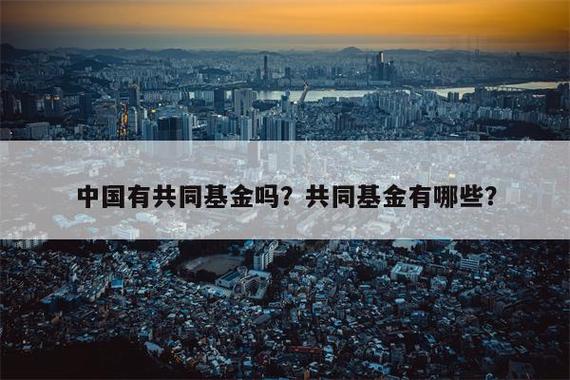 共同基金(共同基金在中国叫什么)